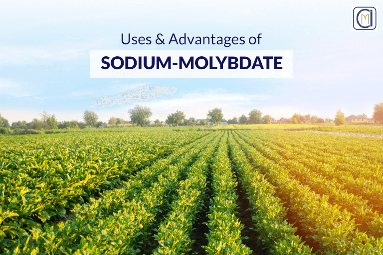 Uses and Advantages of Sodium Molybdate